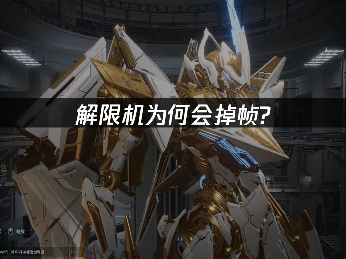 解限机掉帧？专业解决方案在这里！