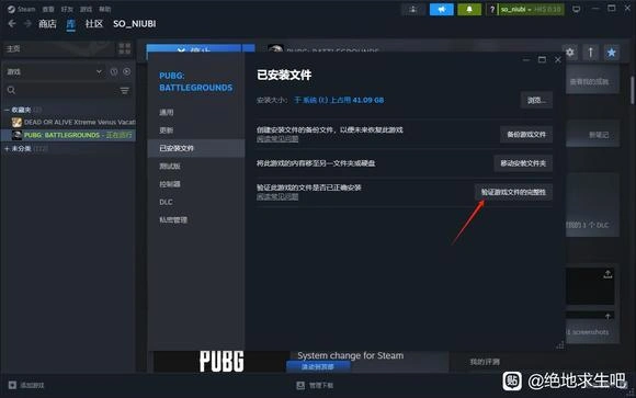PUBG卡在加载界面-2