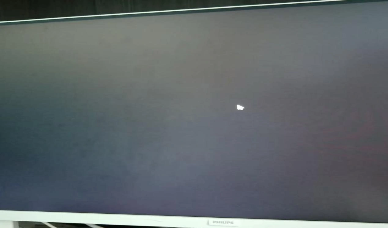 REPO进不去游戏黑屏 -1