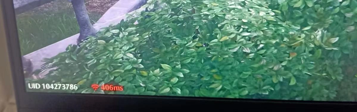 海外與國內好友玩無限暖暖連線延遲高-1