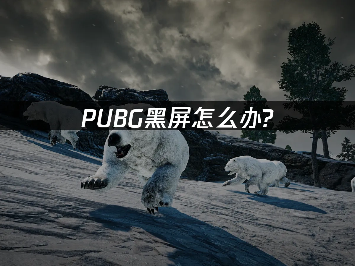 PUBG 封面图