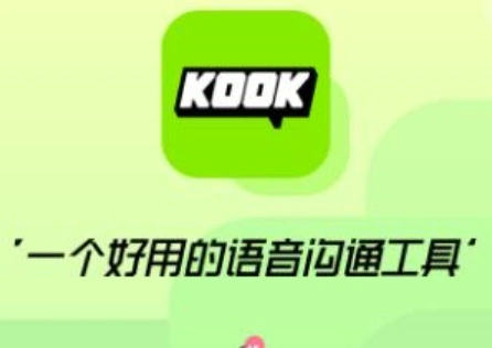 KooK语音功能受限怎么办？