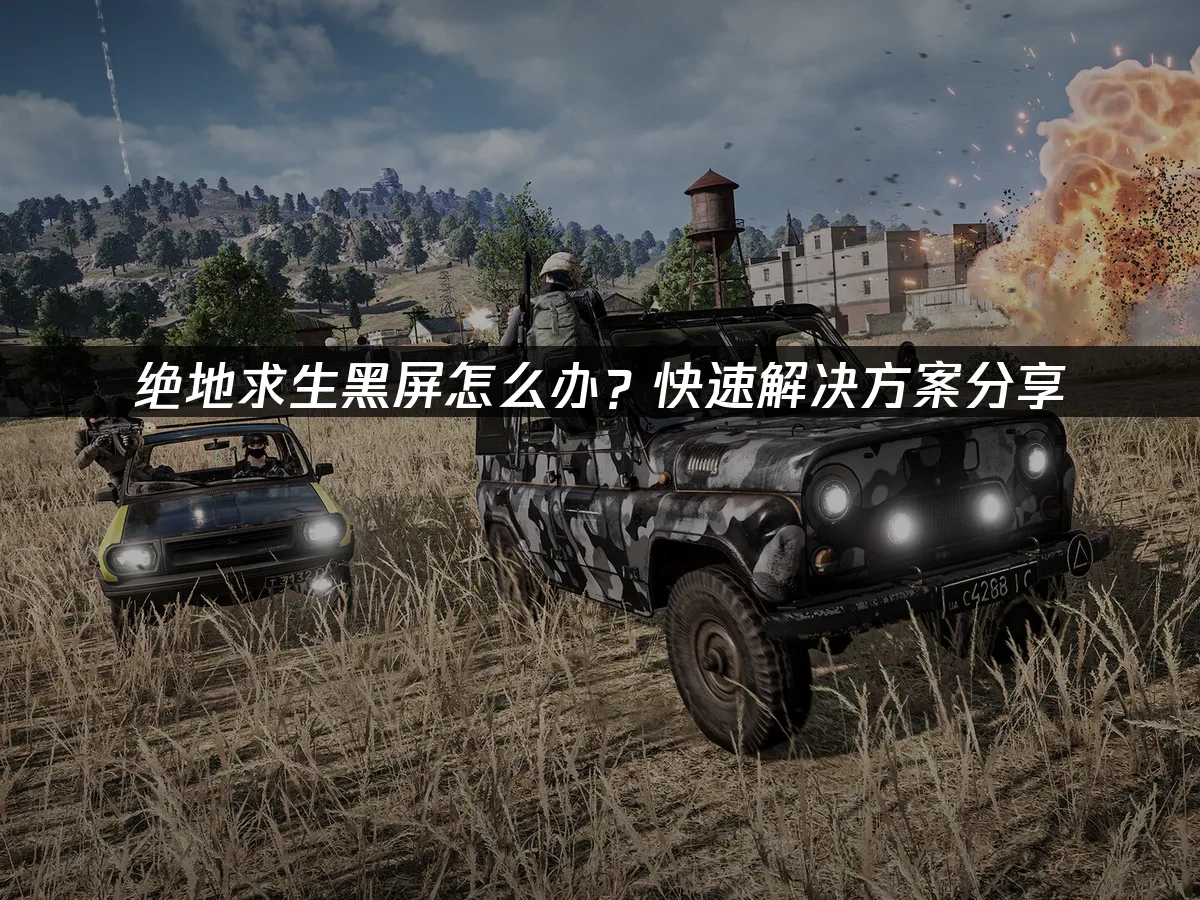 绝地求生黑屏怎么办？快速解决方案分享！