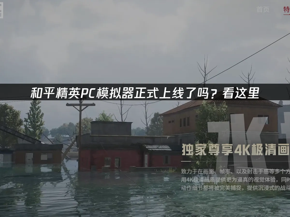 和平精英PC模拟器正式上线了吗？看这里！
