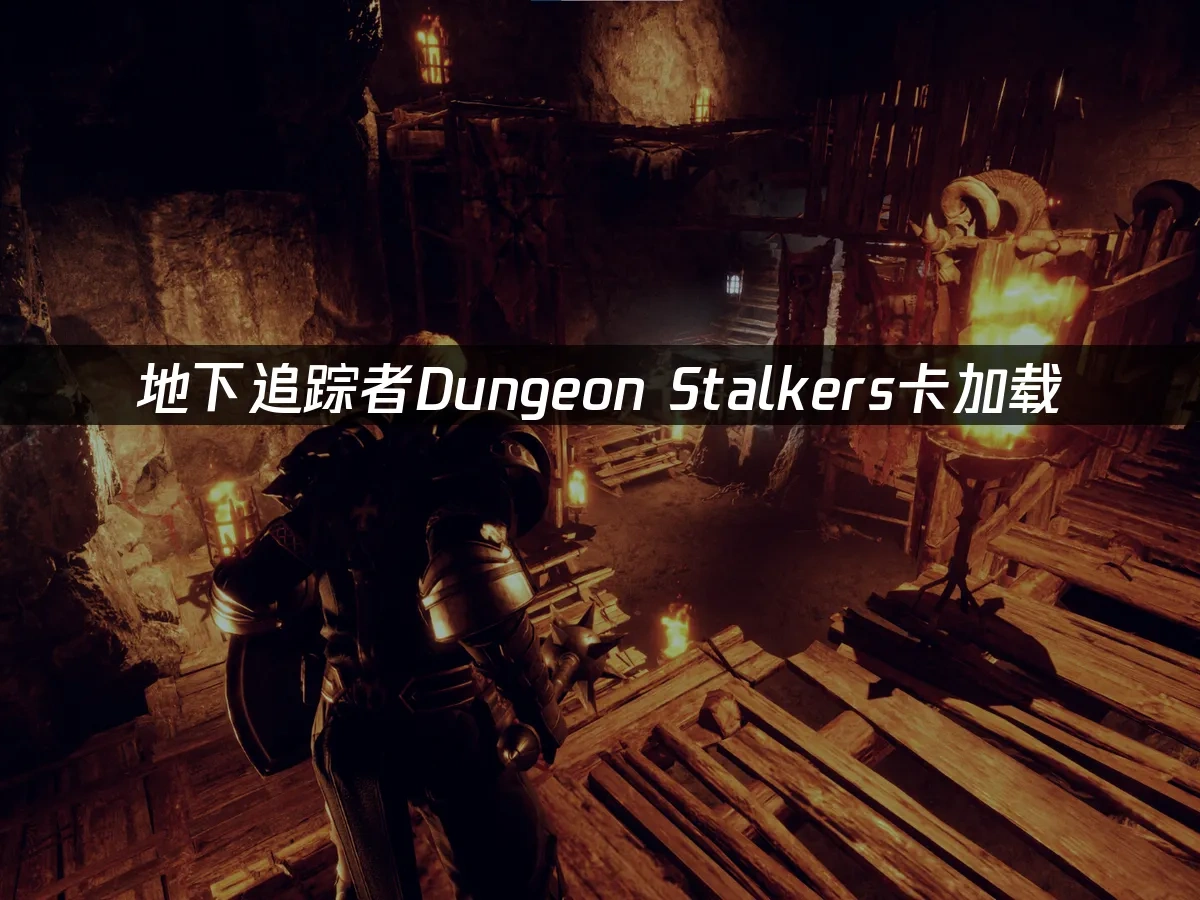 地下追踪者Dungeon Stalkers卡加载：优化解决方案！