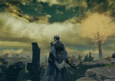 艾尔登法环黑夜君临联机掉线？这些做法稳定联机游戏！