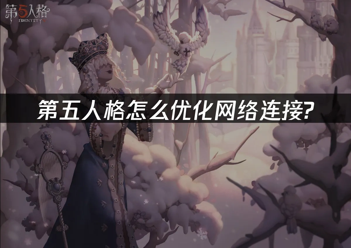 第五人格怎么优化网络连接？