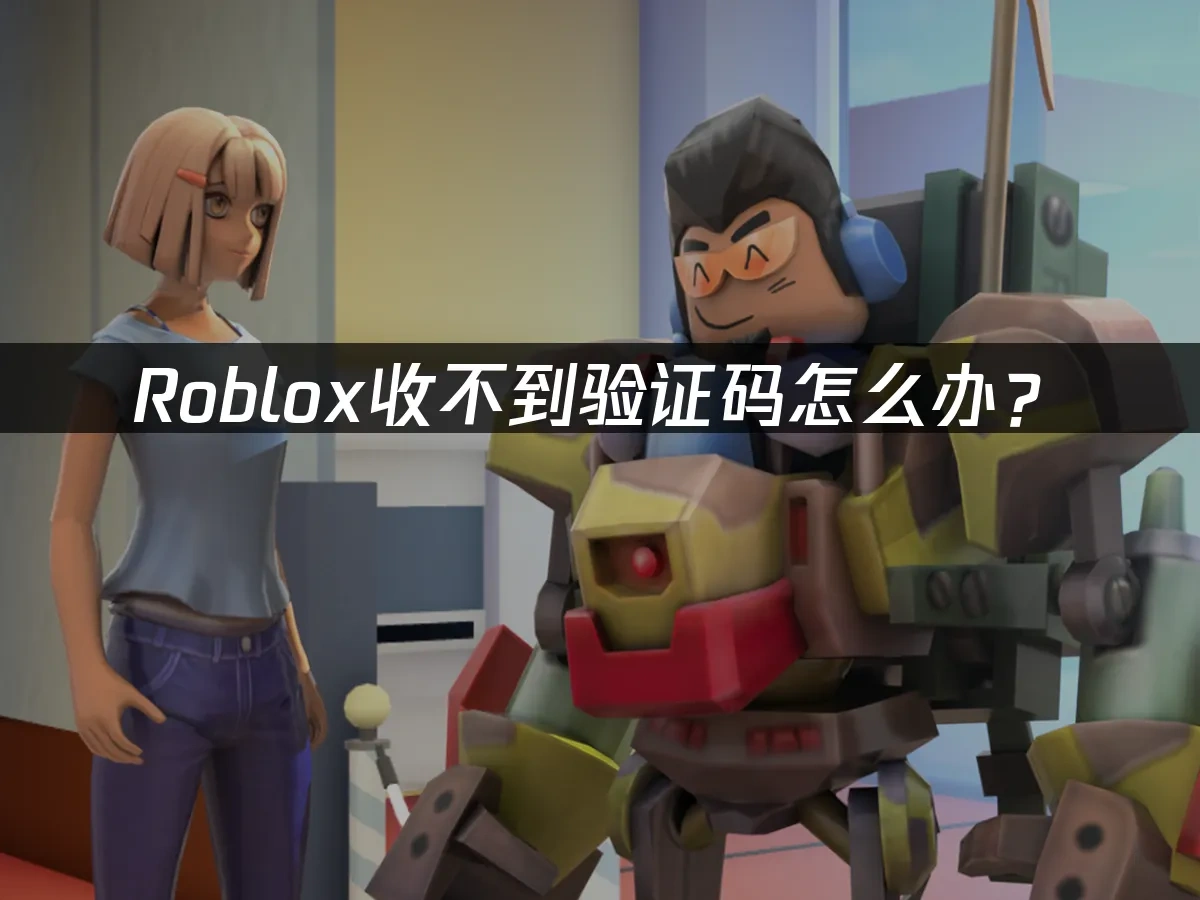Roblox收不到验证码怎么办？