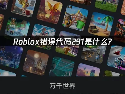 Roblox错误代码291是什么？如何快速解决？