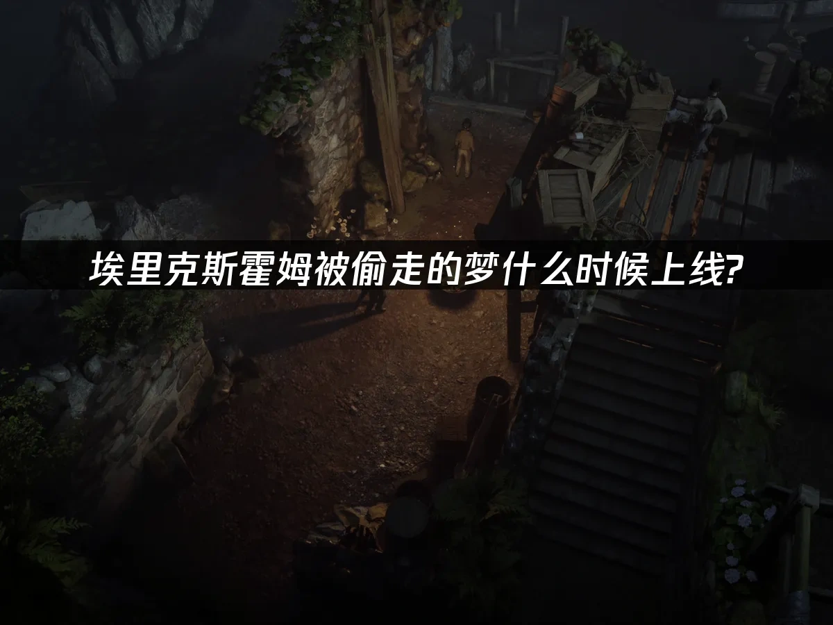 埃里克斯霍姆被偷走的梦 封面图