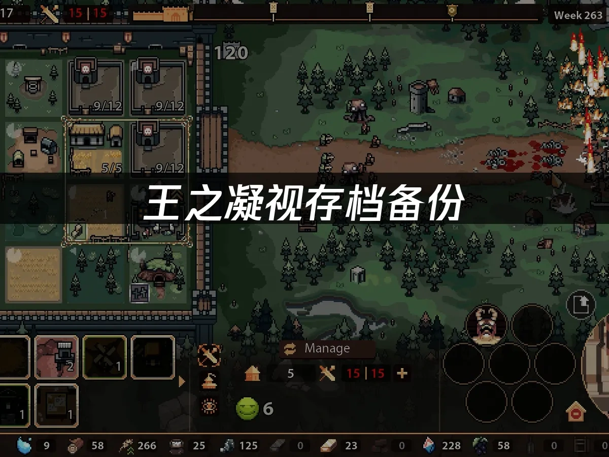 王之凝视 The King is Watching 封面图