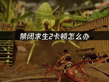 告别禁闭求生2卡顿困扰：网络与系统双管齐下的优化方案！