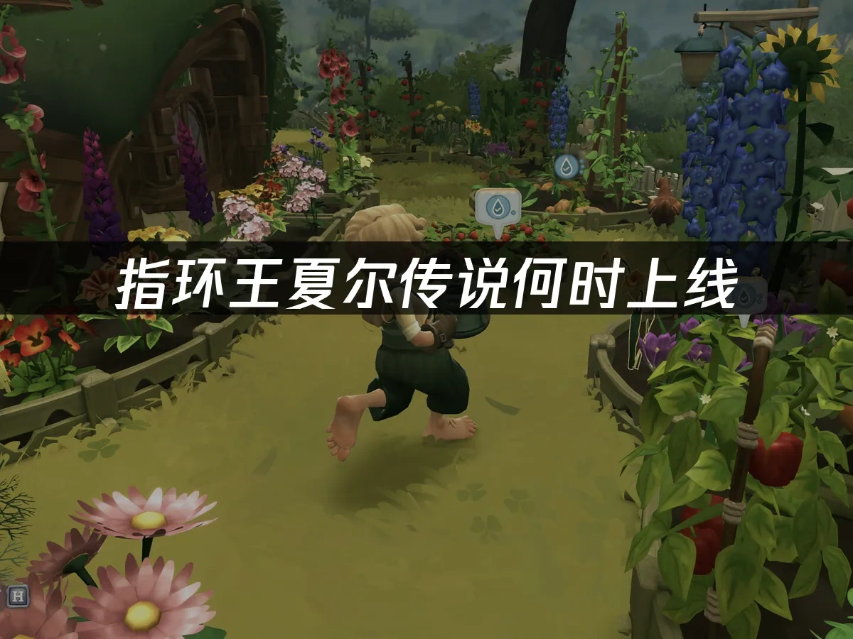 指环王夏尔传说 封面图