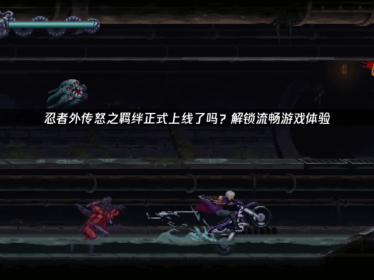 忍者外传怒之羁绊 封面图