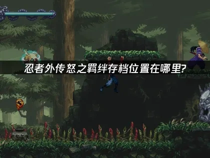 忍者外传怒之羁绊存档位置在哪里？如何轻松管理？