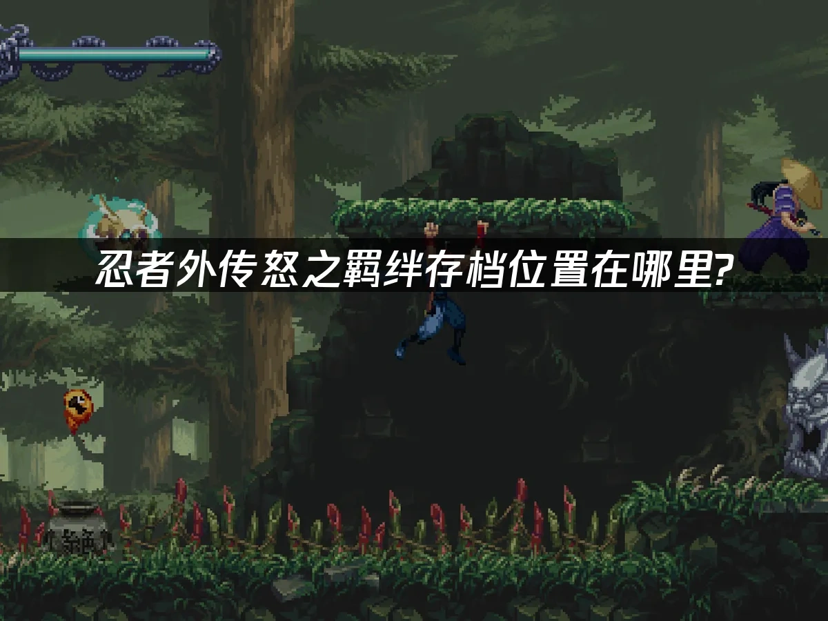 忍者外传怒之羁绊 封面图