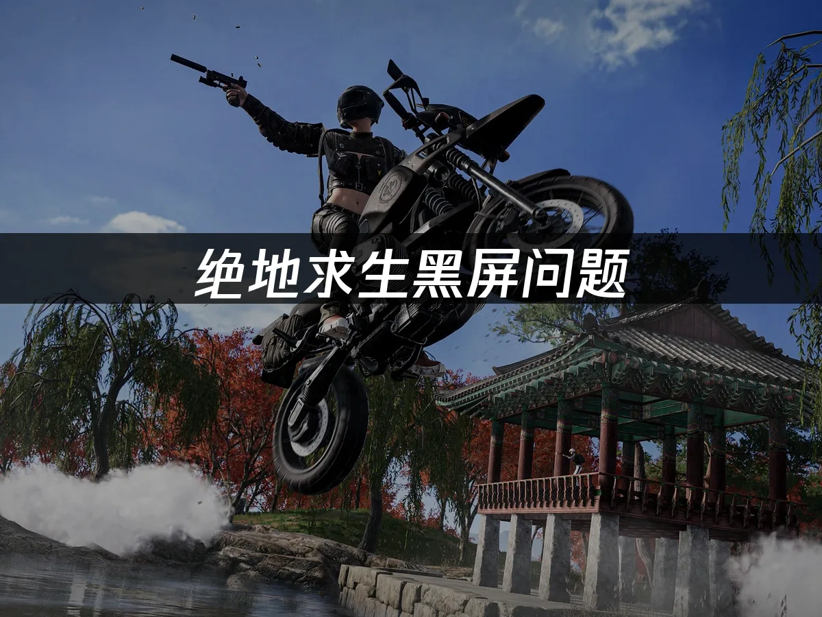 绝地求生 封面图