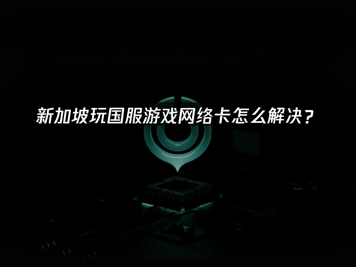 海外华人加速器 封面图