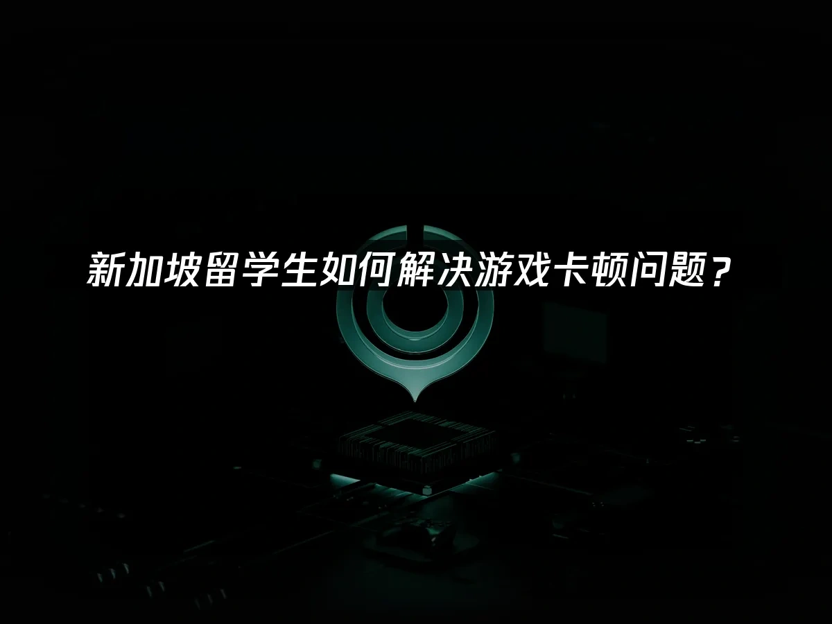 海外华人加速器 封面图