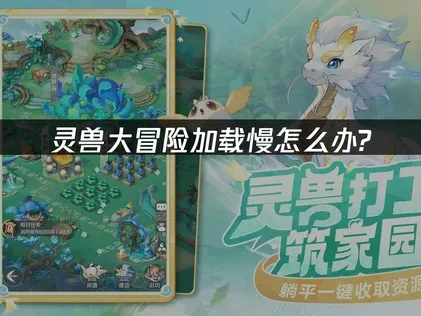 灵兽大冒险如何优化加载速度？