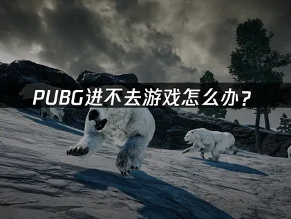 PUBG进不去游戏怎么办？——三大解决方案让您畅玩无忧！
