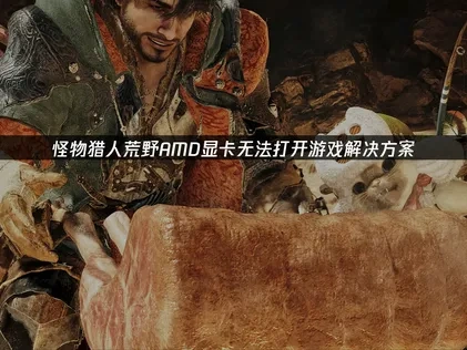 怪物猎人荒野AMD显卡无法打开游戏解决方案！
