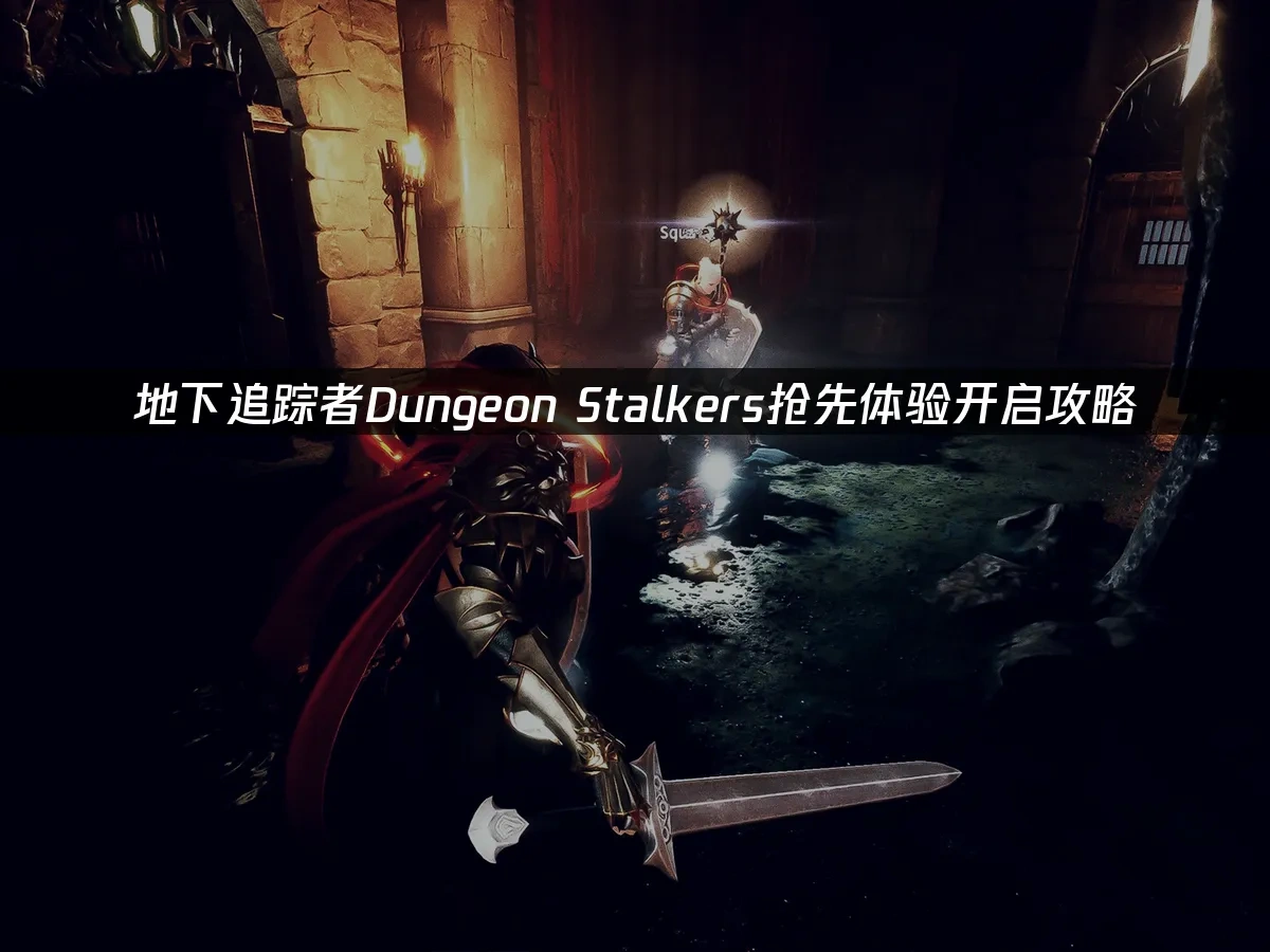 地下追踪者Dungeon Stalkers 封面图