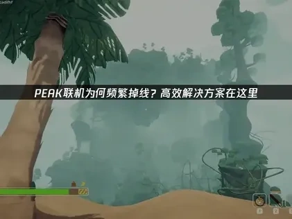 PEAK联机掉线？高效解决方案在这里！