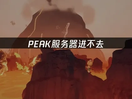 PEAK服务器进不去？解决方案一键搞定！