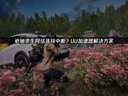 绝地求生网络连接中断难题成因与高效应对策略！