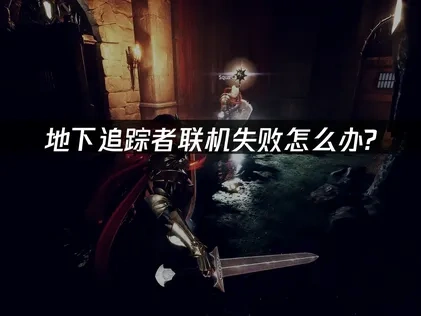 地下追踪者Dungeon Stalkers无法联机深度解析与优化策略！