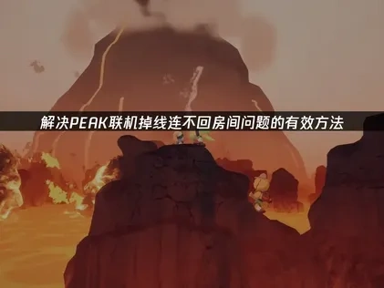 PEAK联机掉线连不回房间问题应对策略！