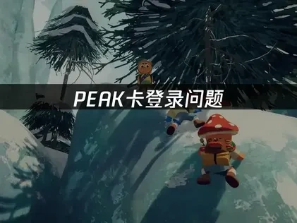 全面解决PEAK卡登录问题指南！