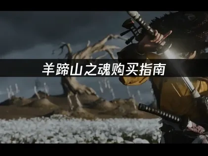 羊蹄山之魂购买指南：如何选择最适合你的版本？