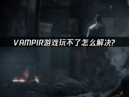 VAMPIR玩不了怎么解决？