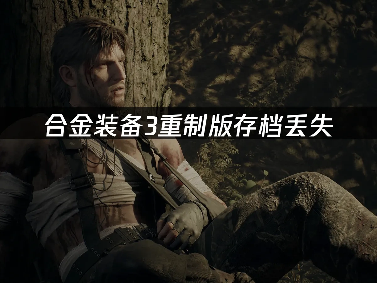 合金装备3重制版 封面图