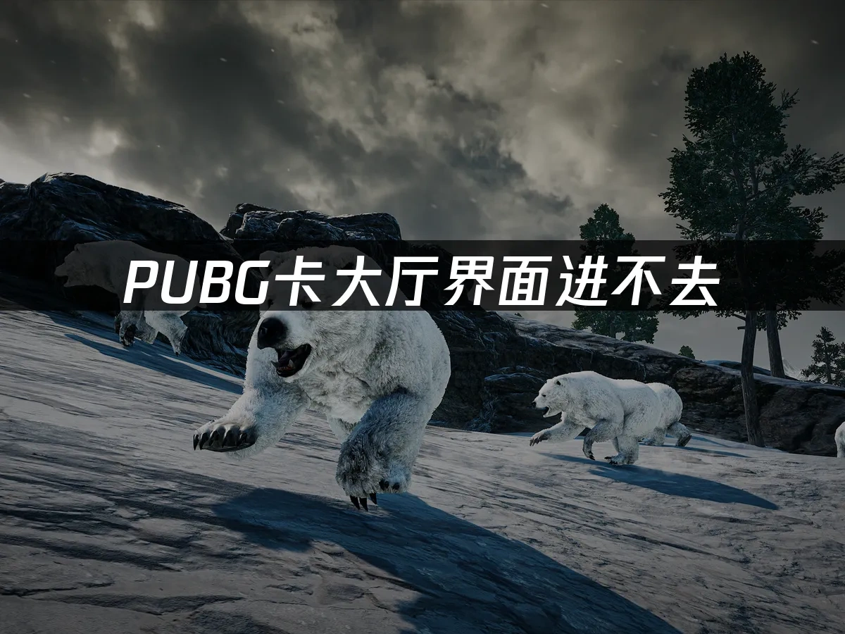 PUBG 封面图