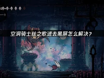 空洞骑士丝之歌进去黑屏的排除综合指南！