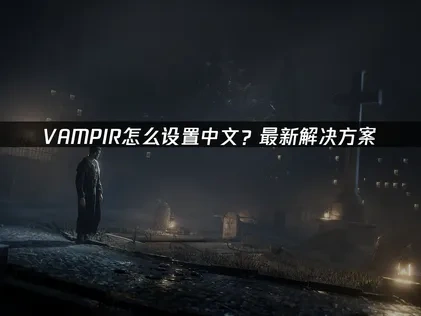 VAMPIR怎么设置中文？最新解决方案！