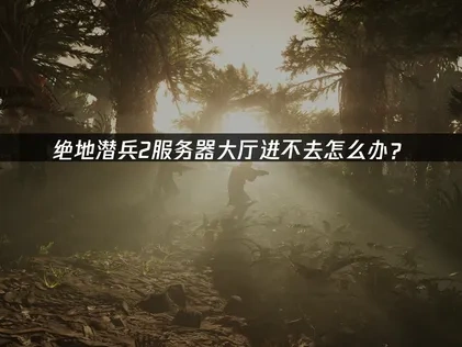 绝地潜兵2服务器大厅进不去怎么办？