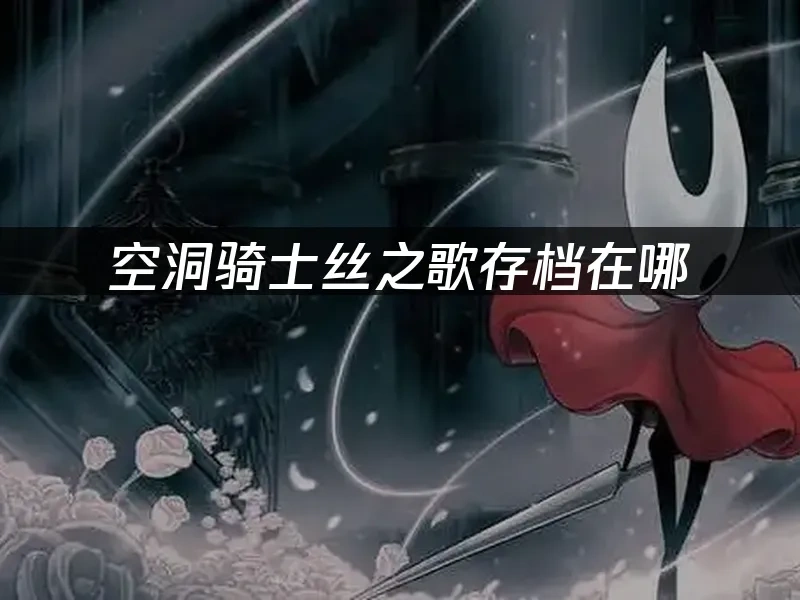 空洞骑士丝之歌 封面图