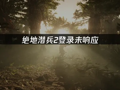 绝地潜兵2登录未响应全面解析与应对策略！