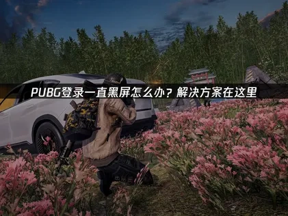 PUBG登录一直黑屏解决攻略：网络优化与UU加速器推荐！