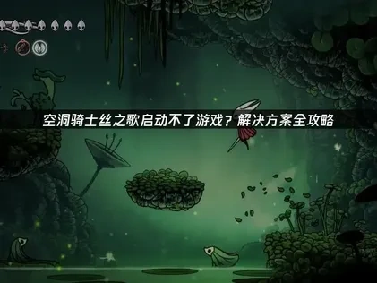 高效应对空洞骑士丝之歌启动不了游戏的完整解决方案！