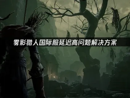 雾影猎人国际服延迟高问题解决方案！