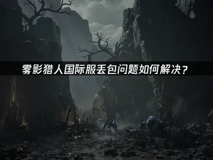 雾影猎人国际服丢包问题如何解决？