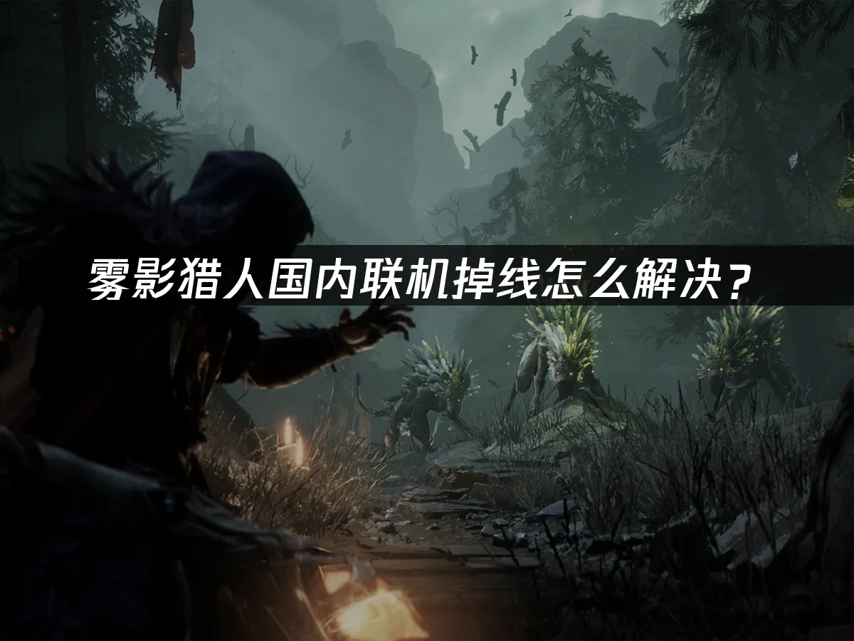 雾影猎人 封面图