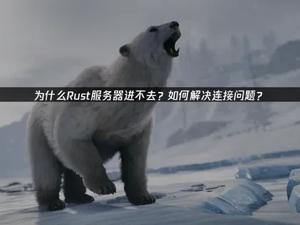 解决Rust服务器进不去的实用指南！