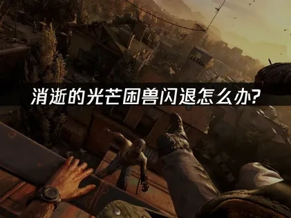 消逝的光芒困兽闪退怎么办？专业解决方案！