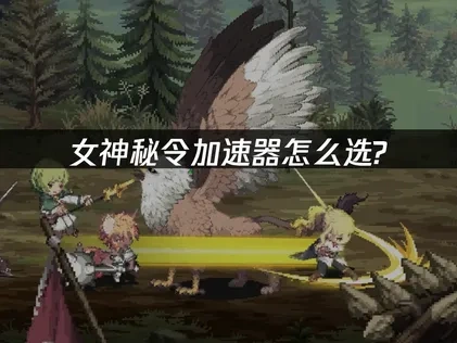 女神秘令加速器怎么选？
